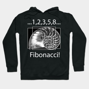 fibonachi ratio Hoodie